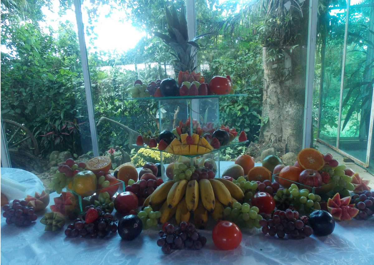 Mesa de Frutas Churrasco & Cia